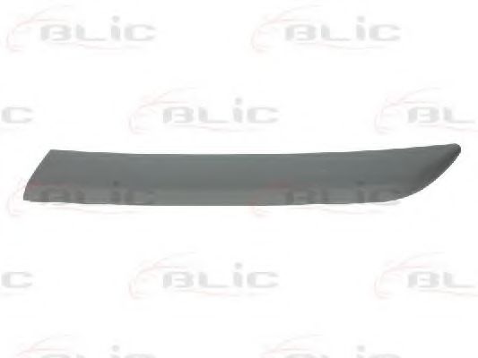 Elemente decorative/protectie, aripa