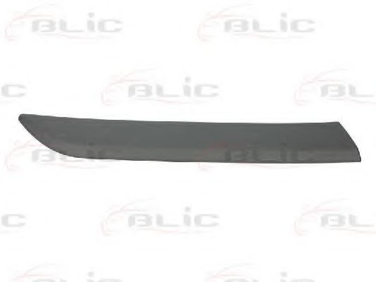Elemente decorative/protectie, aripa