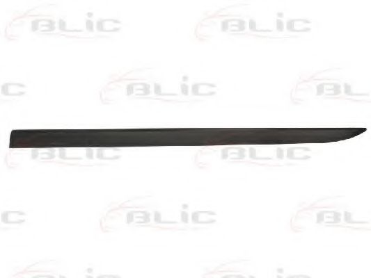 Elemente decorative/protectie, portiera