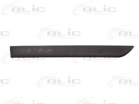 Elemente decorative/protectie, portiera
