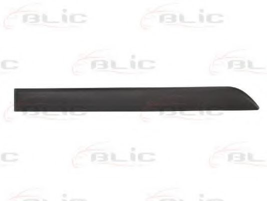 Elemente decorative/protectie, portiera