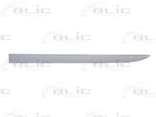 Elemente decorative/protectie, portiera