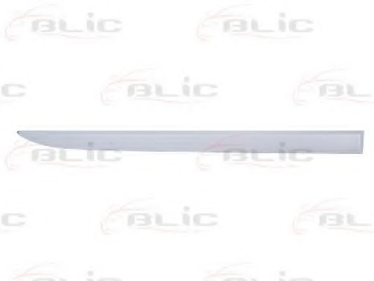 Elemente decorative/protectie, portiera