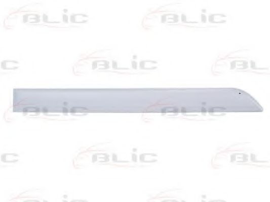 Elemente decorative/protectie, portiera