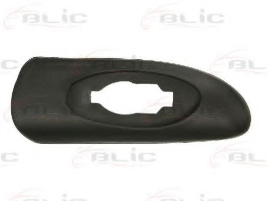 Elemente decorative/protectie, aripa
