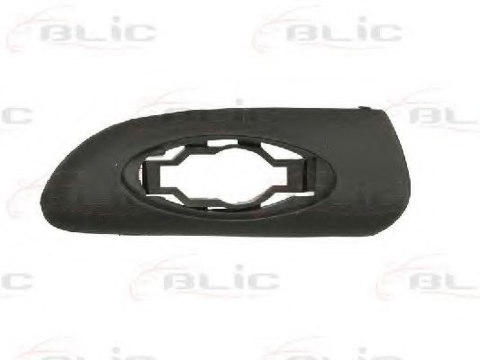 Elemente decorative/protectie, aripa