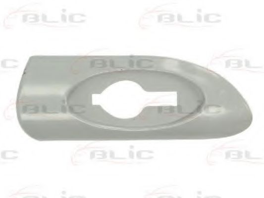 Elemente decorative/protectie, aripa