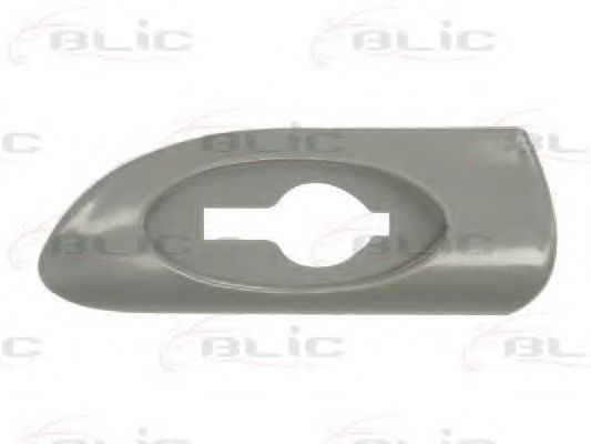 Elemente decorative/protectie, aripa