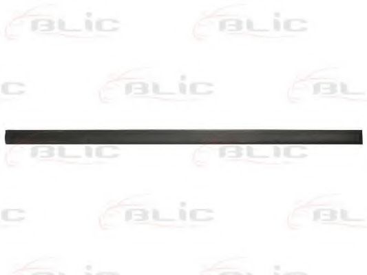 Elemente decorative/protectie, portiera