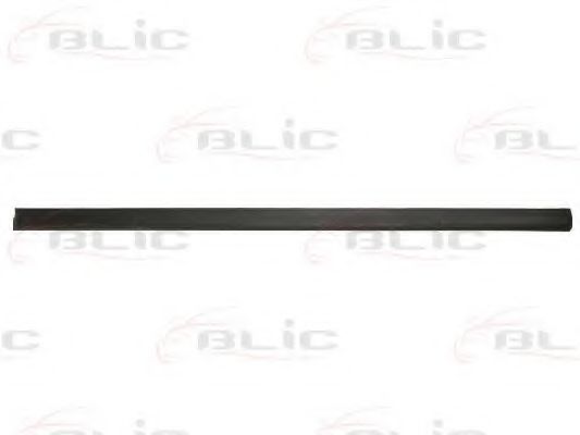 Elemente decorative/protectie, portiera