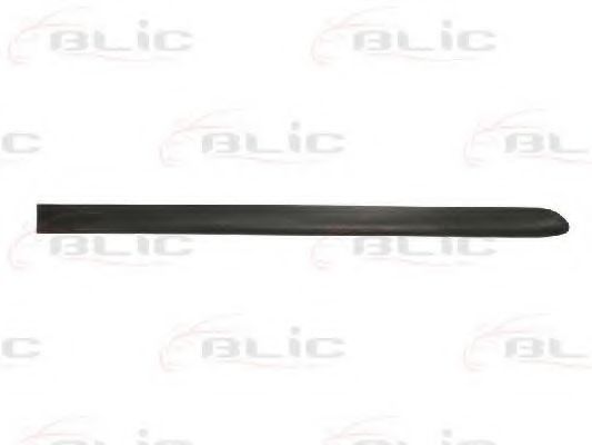 Elemente decorative/protectie, portiera