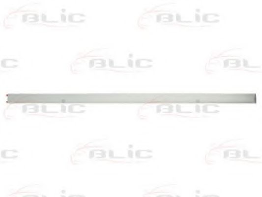 Elemente decorative/protectie, portiera