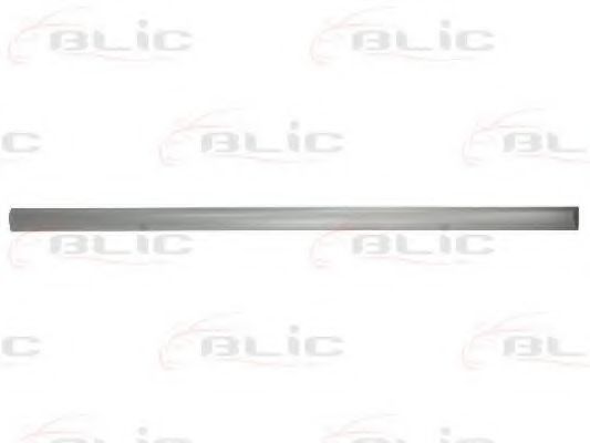 Elemente decorative/protectie, portiera