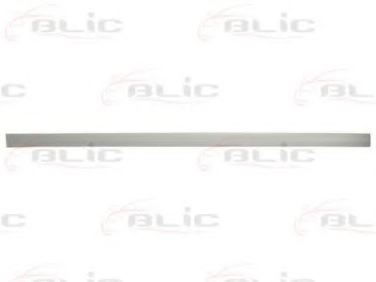 Elemente decorative/protectie, portiera