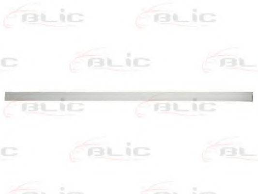 Elemente decorative/protectie, portiera