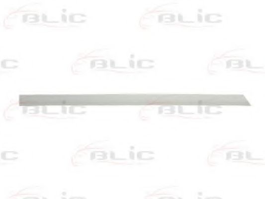 Elemente decorative/protectie, portiera