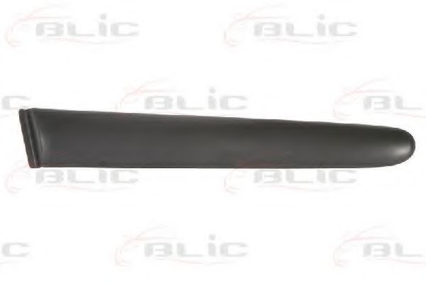 Elemente decorative/protectie, aripa