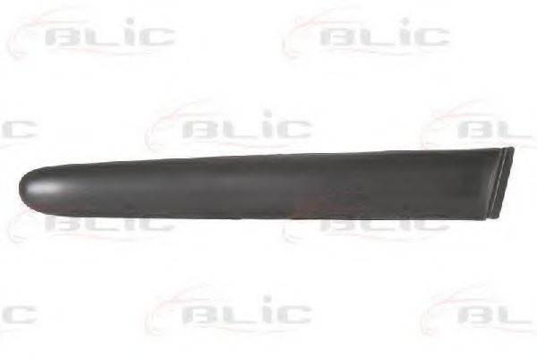 Elemente decorative/protectie, aripa