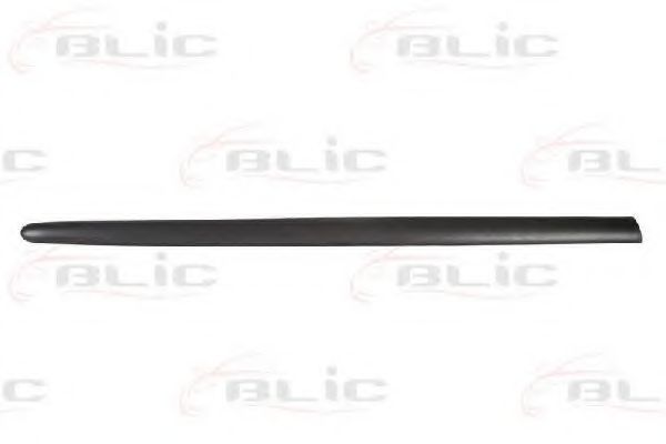 Elemente decorative/protectie, aripa