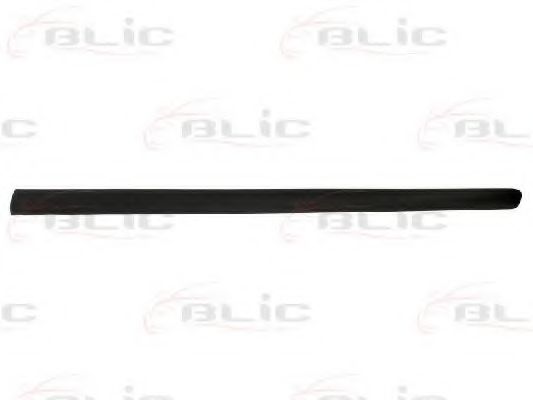 Elemente decorative/protectie, portiera