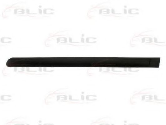 Elemente decorative/protectie, portiera