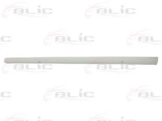 Elemente decorative/protectie, portiera