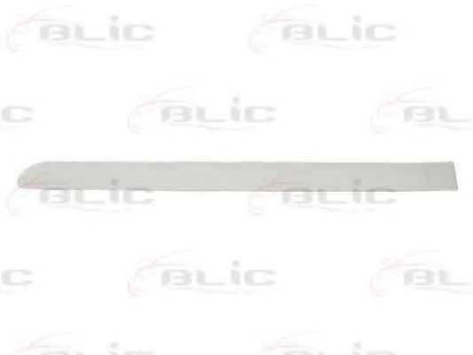 Elemente decorative/protectie, portiera