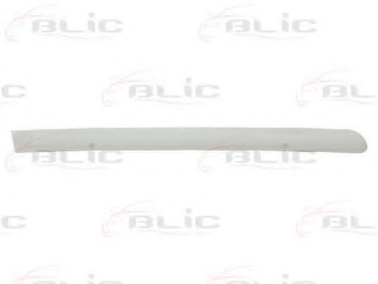 Elemente decorative/protectie, portiera