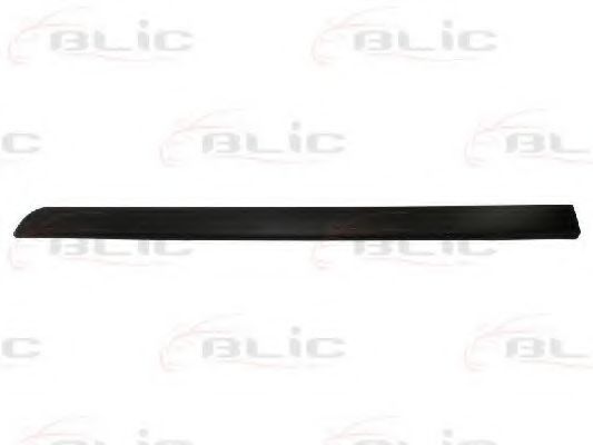 Elemente decorative/protectie, portiera