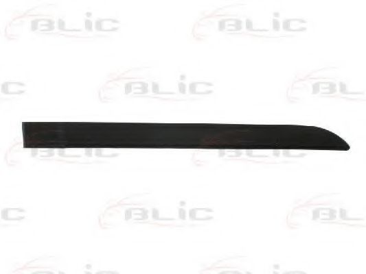 Elemente decorative/protectie, portiera
