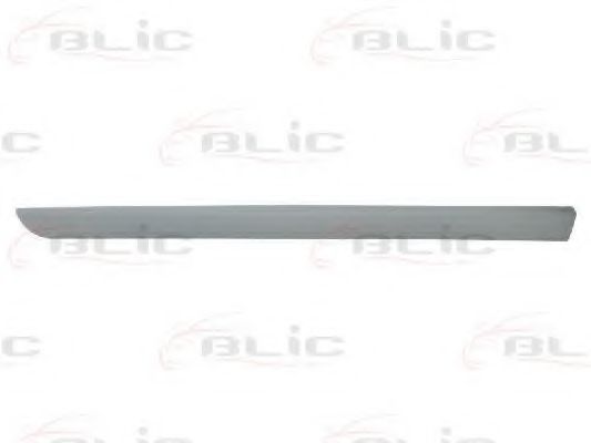 Elemente decorative/protectie, portiera