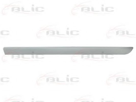 Elemente decorative/protectie, portiera