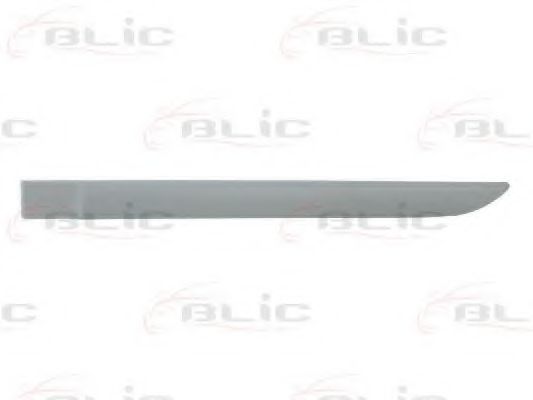 Elemente decorative/protectie, portiera