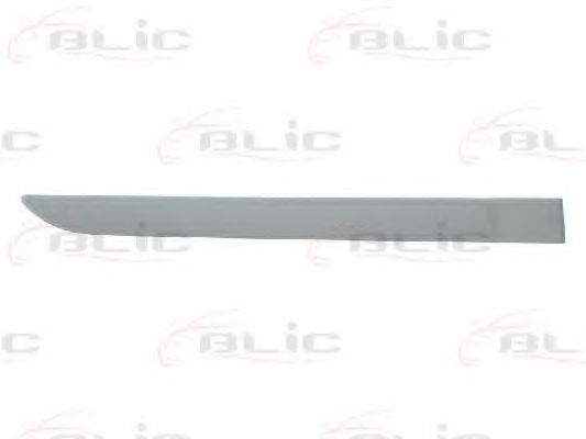 Elemente decorative/protectie, portiera