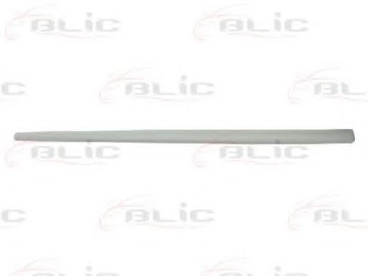 Elemente decorative/protectie, portiera
