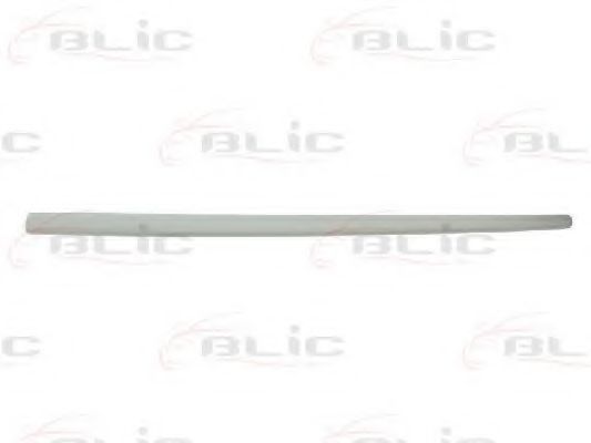 Elemente decorative/protectie, portiera