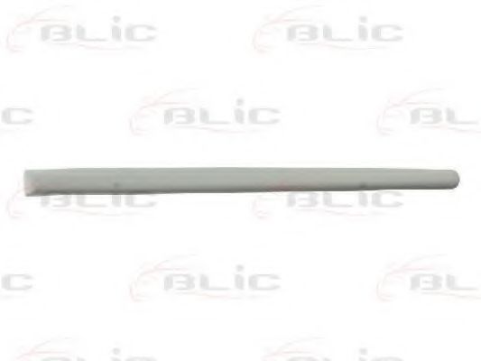 Elemente decorative/protectie, portiera