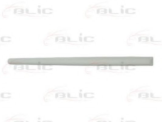 Elemente decorative/protectie, portiera