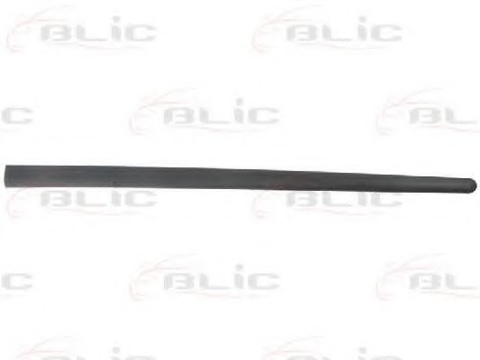 Elemente decorative/protectie, portiera