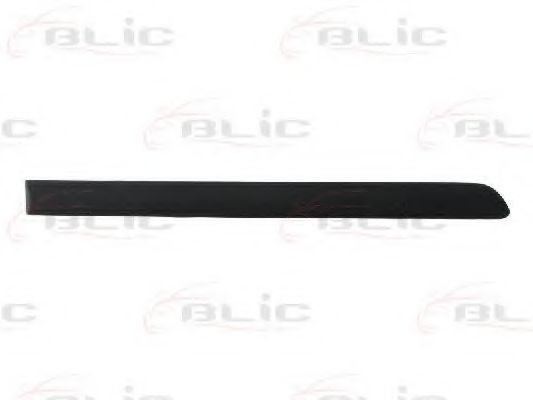 Elemente decorative/protectie, portiera