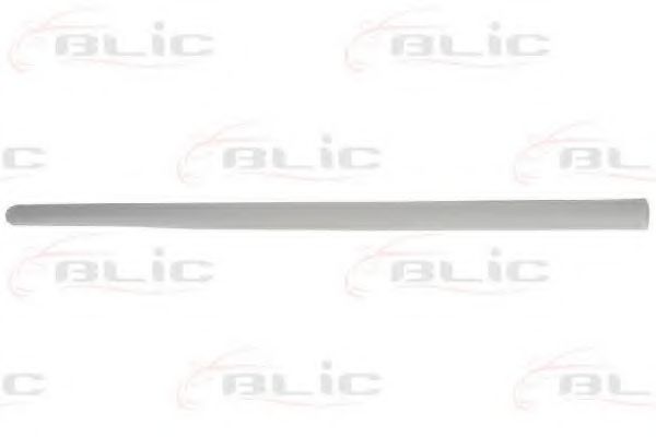 Elemente decorative/protectie, portiera