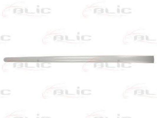 Elemente decorative/protectie, portiera