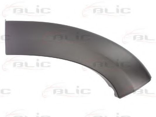 Elemente decorative/protectie, aripa