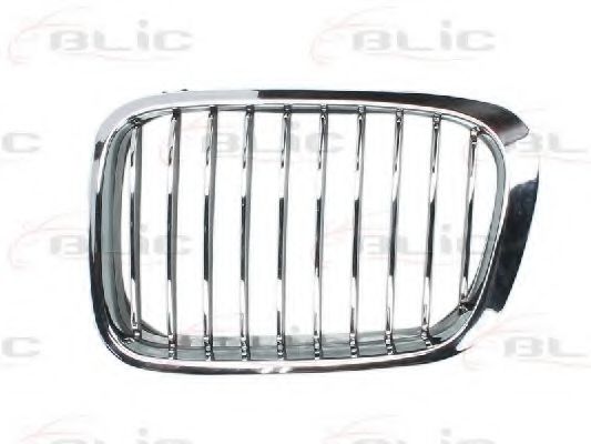 Grila radiator