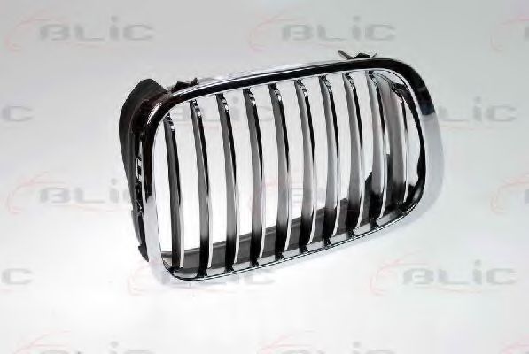 Grila radiator