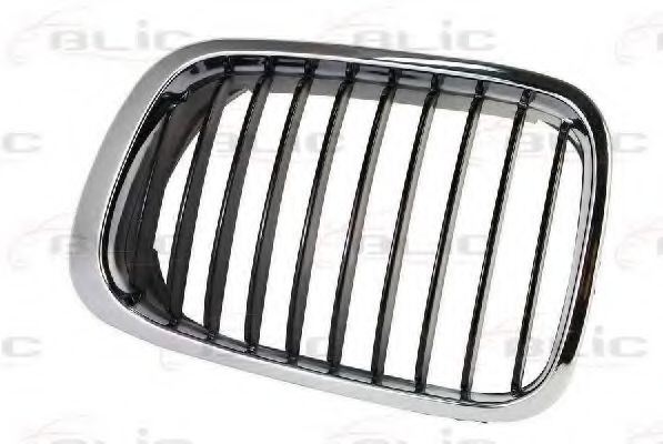 Grila radiator