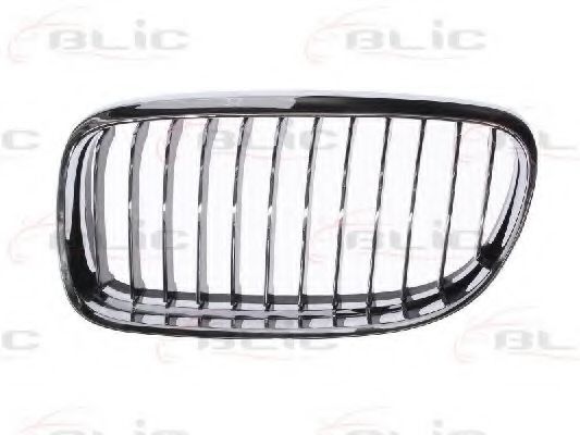 Grila radiator