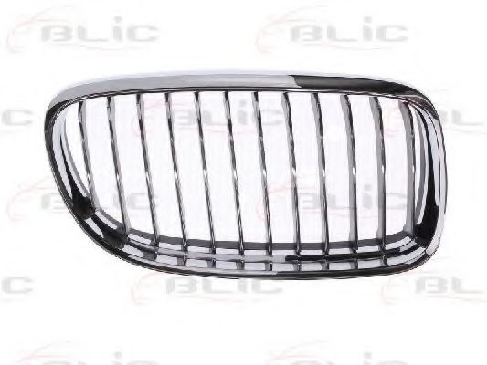 Grila radiator