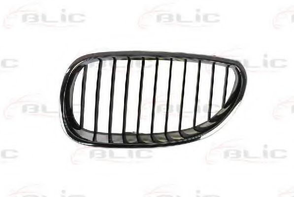 Grila radiator
