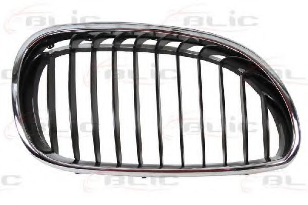 Grila radiator